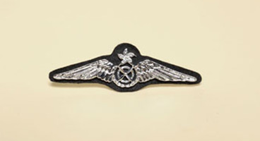 Pilot Wings Badge
